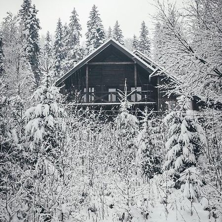 Chalet Shepit Karpat Bukovel Exterior photo